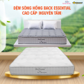 Đệm Sông Hồng Back Essential cao cấp (nguyên tấm)