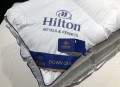 Ruột chăn lông vũ Hilton màu trắng-9