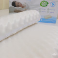 Gối cao su Olympia Contour Massage 40x60cm-4