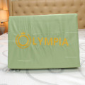 Chăn ga gối khách sạn Olympia lụa thêu 5 món màu xanh cốm-3