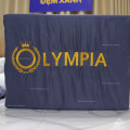 Chăn ga gối khách sạn Olympia lụa thêu 5 món màu xanh than-10