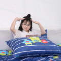 Chăn ga gối Sông Hồng Junior JC22002-0
