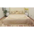 Bộ chăn ga gối Singapore Perfect Mordern PM2269-4