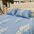 Chăn ga gối Sông Hồng Basic cotton BC24C10-0