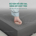 Đệm cao su Than Hoạt Tính Thuần Việt Titan Grey-6