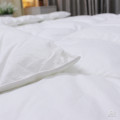 Ruột chăn lông vũ Nhật Bản Misuko Perfect-10