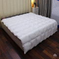 Ruột chăn lông vũ Nhật Bản Misuko Perfect-8
