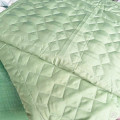 Bộ ga chun Cotton chống thấm màu xanh lá-0