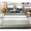 Bộ chăn ga gối Olympia Spring OSP2501-5