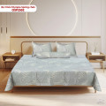 Bộ chăn ga gối Olympia Spring OSP2502