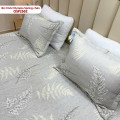 Bộ chăn ga gối Olympia Spring OSP2502-0