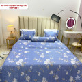 Bộ chăn ga gối Olympia Spring OSP2504-5