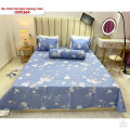 Bộ chăn ga gối Olympia Spring OSP2504-4