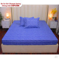 Bộ ga chun Olympia Spring OSP2506-3