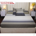 Bộ ga chun Tencel Olympia Spring OSP2501-3