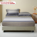 Bộ ga chun Tencel Olympia Spring OSP2501