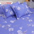 Bộ ga chun Olympia Spring OSP2504-6