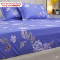 Bộ ga chun Olympia Spring OSP2504-4