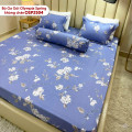 Bộ ga chun Olympia Spring OSP2504-1