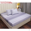 Bộ ga chun Tencel Olympia Spring OSP2505-6