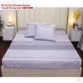 Bộ ga chun Tencel Olympia Spring OSP2505-5