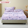 Bộ ga chun Olympia Spring OSP2510