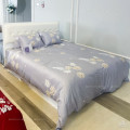 Chăn đông Sông Hồng Basic cotton BC25108-1