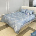 Chăn đông Sông Hồng Basic cotton BC25109-2