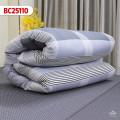Chăn đông Sông Hồng Basic cotton BC25110-4
