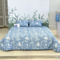 Chăn đông Sông Hồng Basic cotton BC25111