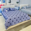 Chăn đông Sông Hồng Basic cotton BC25116-3