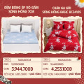Combo 04: Đệm bông ép Sông Hồng vỏ gấm + CGG SH Basic BC24105