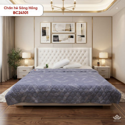 Chăn hè Sông Hồng basic cotton BC24101