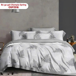 Bộ ga chun Olympia Spring OSP2516