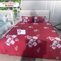 Chăn đông Sông Hồng Basic cotton BC26123