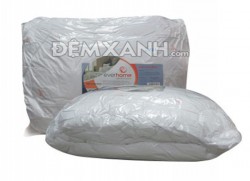 Ruột chăn Everhome mỏng
