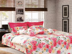 Chăn ga gối Everhome Cotton In Hoa EEC08