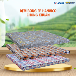 Đệm bông ép Hanvico chống khuẩn