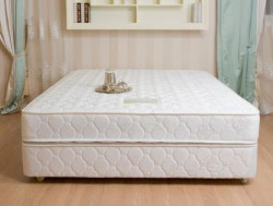 Divan Dunlopillo Spine O Master