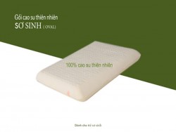 Gối cao su Vạn Thành Baby 30x43x10cm (E)