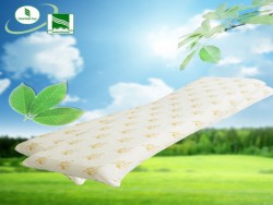 Gối cao su Đồng Phú Oval đôi 45x150cm