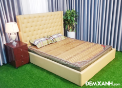 Chiếu trúc thanh viền lá loại cây