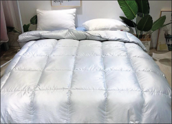 Ruột chăn lông vũ Zara Z01