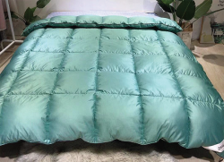 Ruột chăn lông vũ Zara Z03