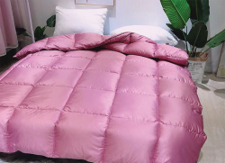 Ruột chăn lông vũ Zara Z04