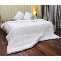 Ruột chăn Olympia xuất khẩu Micro Fiber loại dày
