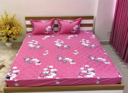 Bộ ga gối chun Olympia chần vải Cotton Hàn 03