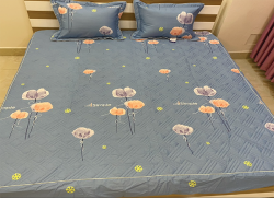 Bộ ga gối chun Olympia chần vải Cotton Hàn 05