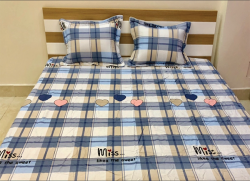 Bộ ga gối chun Olympia chần vải Cotton Hàn 36