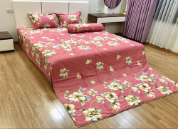 Bộ ga gối chun Olympia chần vải Cotton Hàn 29